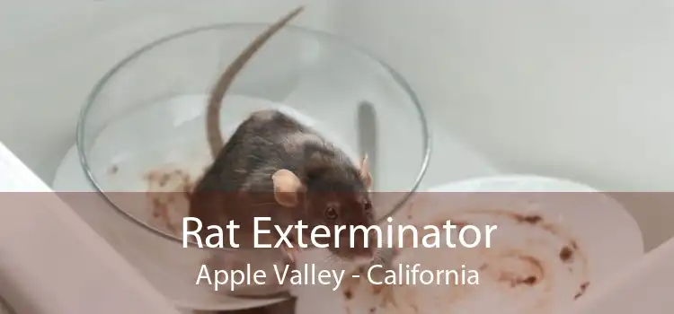 Rat Exterminator Apple Valley - California