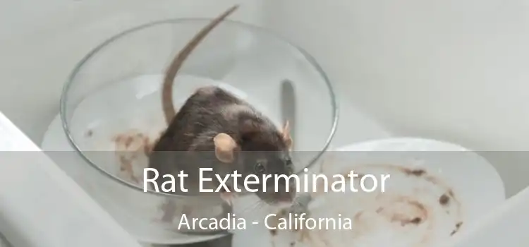 Rat Exterminator Arcadia - California