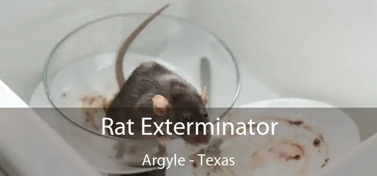 Rat Exterminator Argyle - Texas