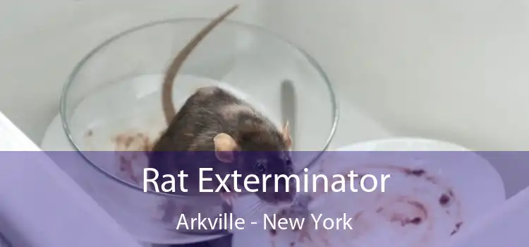 Rat Exterminator Arkville - New York