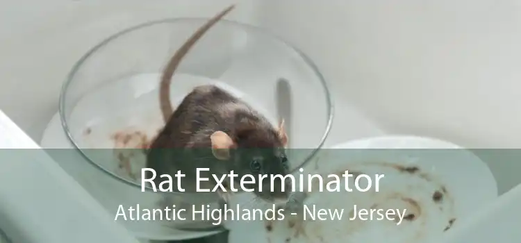 Rat Exterminator Atlantic Highlands - New Jersey