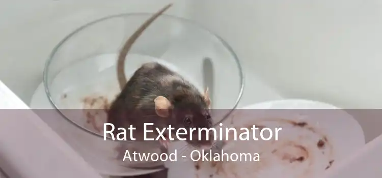 Rat Exterminator Atwood - Oklahoma