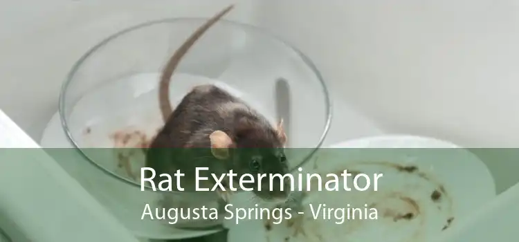 Rat Exterminator Augusta Springs - Virginia