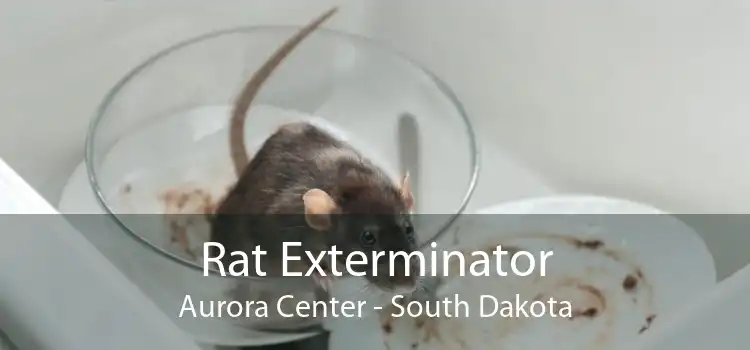 Rat Exterminator Aurora Center - South Dakota