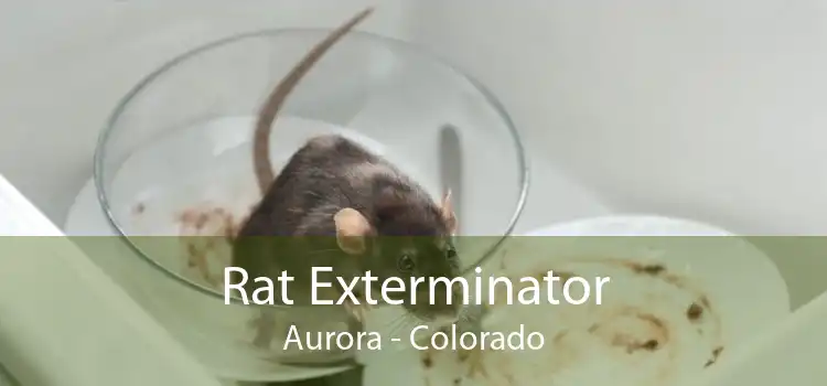 Rat Exterminator Aurora - Colorado
