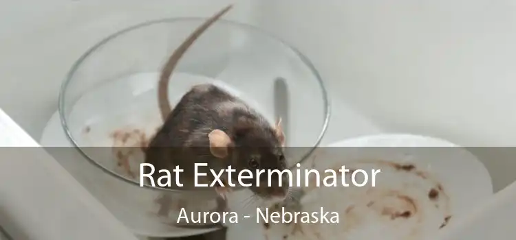 Rat Exterminator Aurora - Nebraska