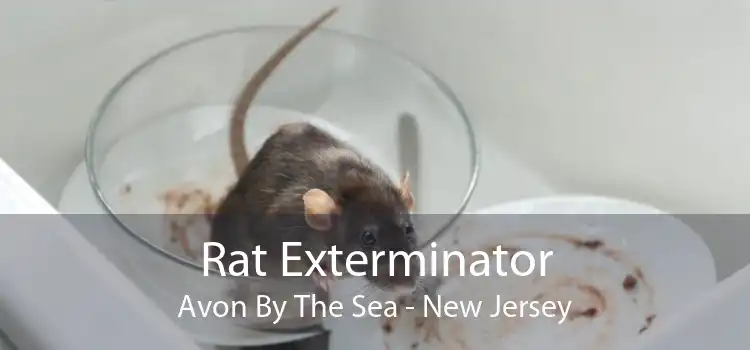 Rat Exterminator Avon By The Sea - New Jersey