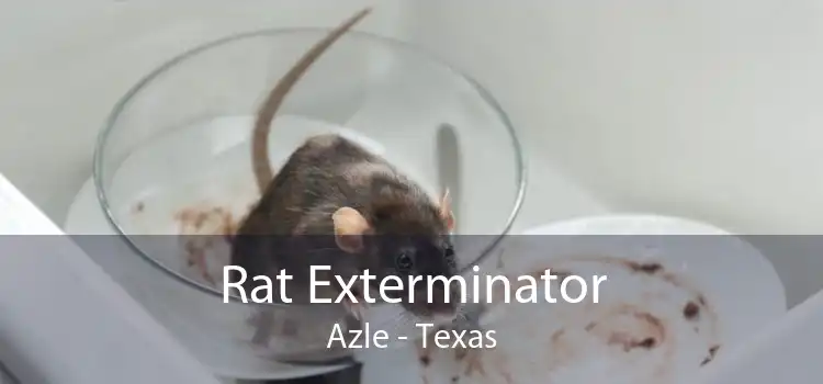 Rat Exterminator Azle - Texas