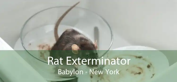 Rat Exterminator Babylon - New York