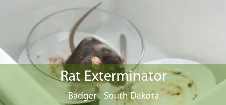 Rat Exterminator Badger - South Dakota