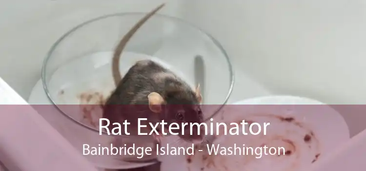 Rat Exterminator Bainbridge Island - Washington