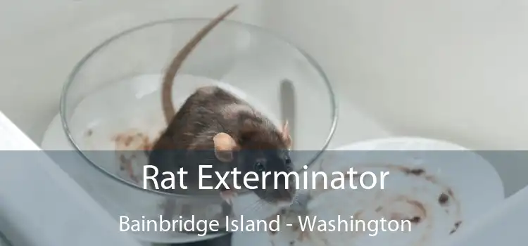 Rat Exterminator Bainbridge Island - Washington