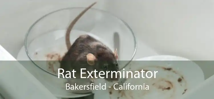 Rat Exterminator Bakersfield - California