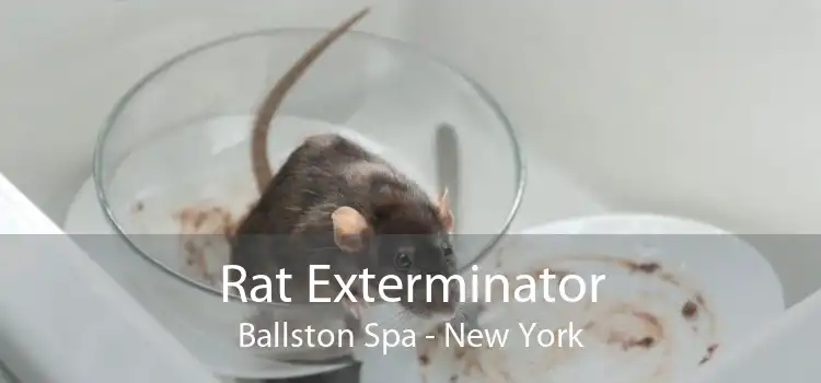 Rat Exterminator Ballston Spa - New York