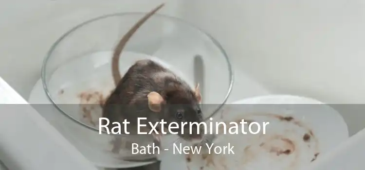 Rat Exterminator Bath - New York