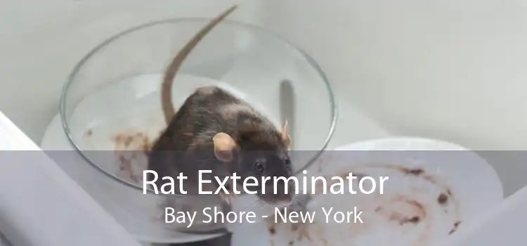 Rat Exterminator Bay Shore - New York