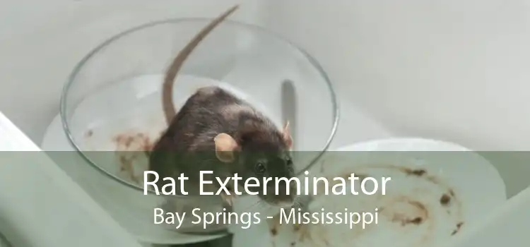 Rat Exterminator Bay Springs - Mississippi