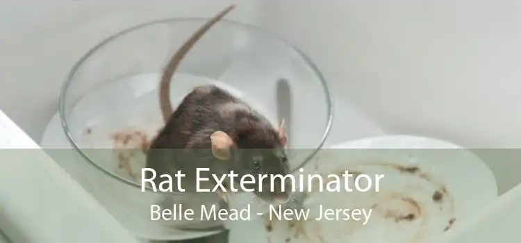 Rat Exterminator Belle Mead - New Jersey