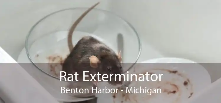 Rat Exterminator Benton Harbor - Michigan