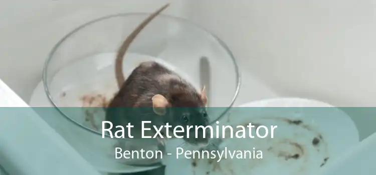 Rat Exterminator Benton - Pennsylvania