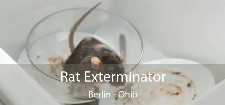 Rat Exterminator Berlin - Ohio