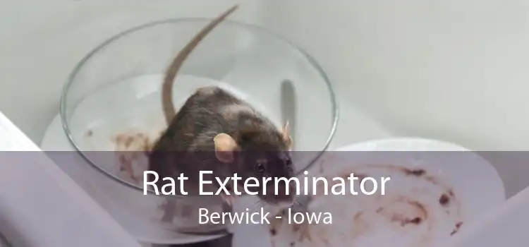 Rat Exterminator Berwick - Iowa