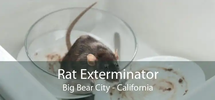 Rat Exterminator Big Bear City - California