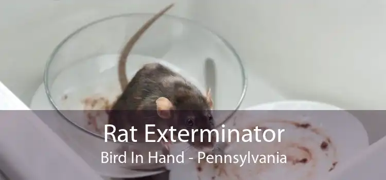 Rat Exterminator Bird In Hand - Pennsylvania