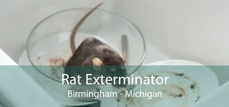 Rat Exterminator Birmingham - Michigan