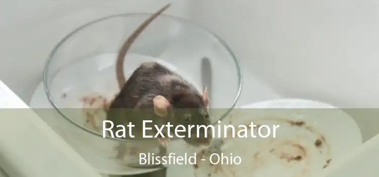 Rat Exterminator Blissfield - Ohio