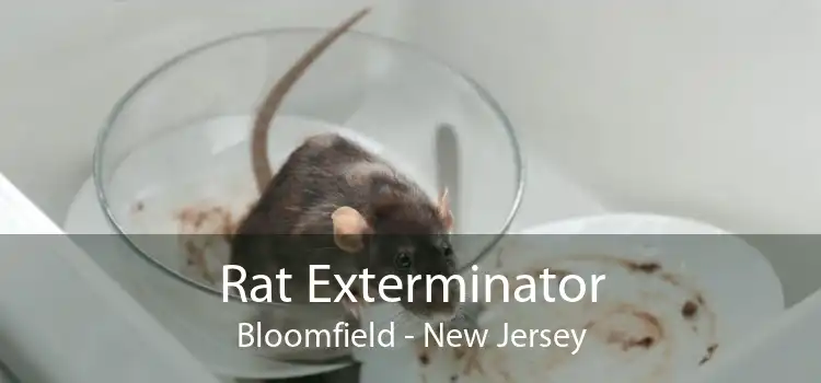 Rat Exterminator Bloomfield - New Jersey
