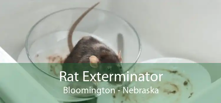 Rat Exterminator Bloomington - Nebraska