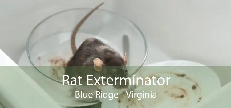Rat Exterminator Blue Ridge - Virginia