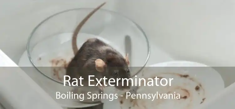Rat Exterminator Boiling Springs - Pennsylvania