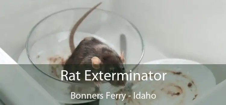 Rat Exterminator Bonners Ferry - Idaho