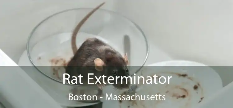 Rat Exterminator Boston - Massachusetts