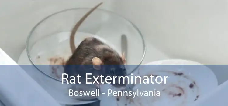 Rat Exterminator Boswell - Pennsylvania