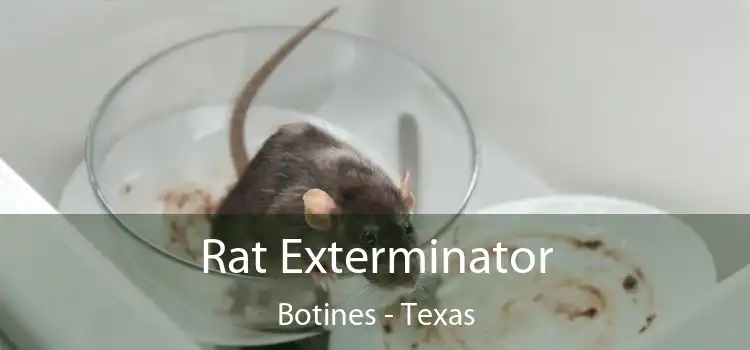 Rat Exterminator Botines - Texas