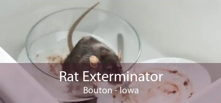 Rat Exterminator Bouton - Iowa