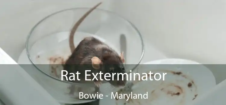 Rat Exterminator Bowie - Maryland