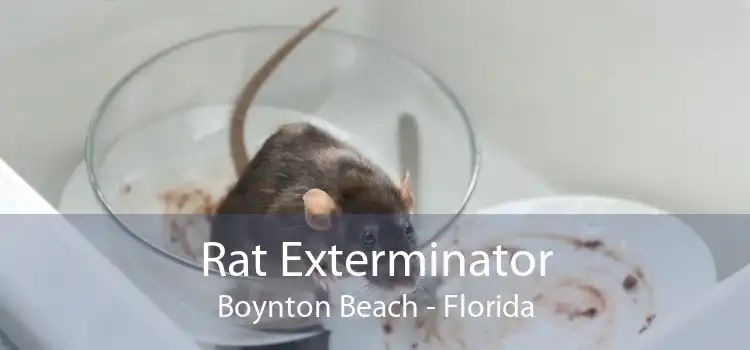 Rat Exterminator Boynton Beach - Florida
