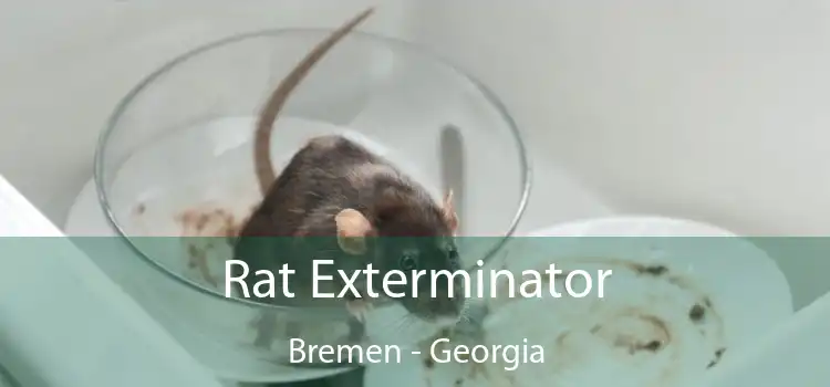 Rat Exterminator Bremen - Georgia