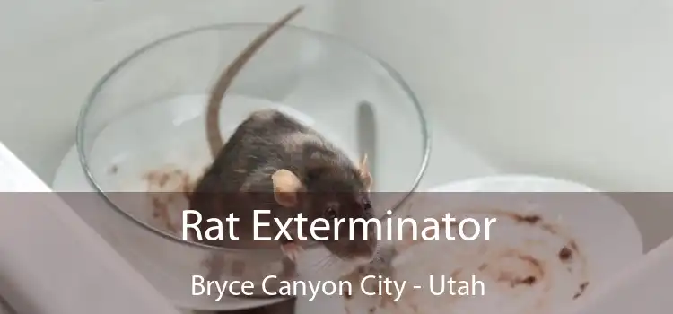 Rat Exterminator Bryce Canyon City - Utah