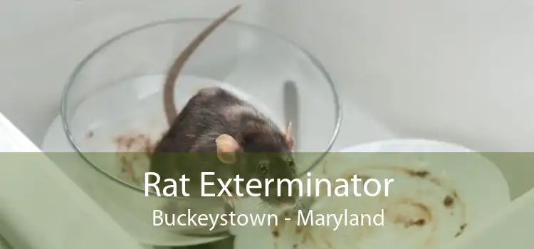 Rat Exterminator Buckeystown - Maryland