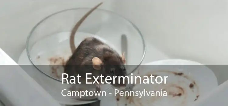 Rat Exterminator Camptown - Pennsylvania