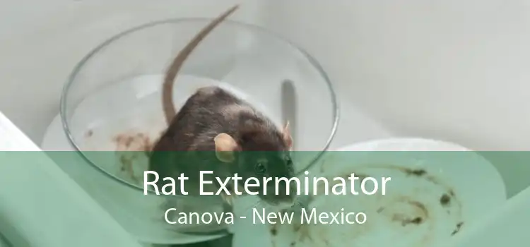 Rat Exterminator Canova - New Mexico