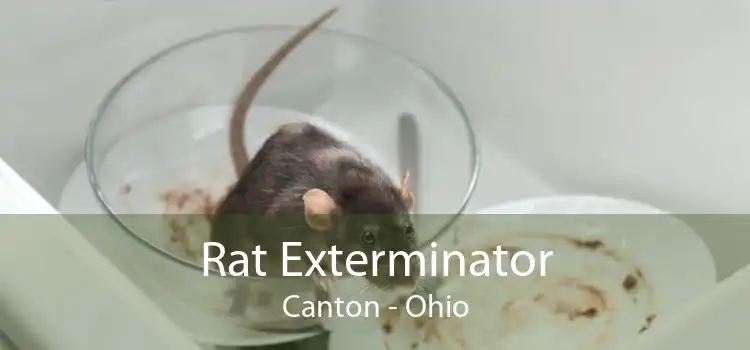 Rat Exterminator Canton - Ohio