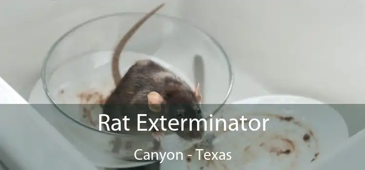 Rat Exterminator Canyon - Texas