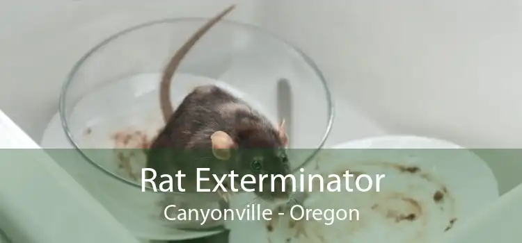 Rat Exterminator Canyonville - Oregon