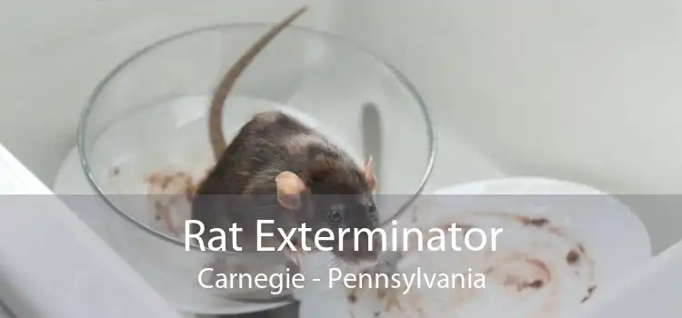 Rat Exterminator Carnegie - Pennsylvania